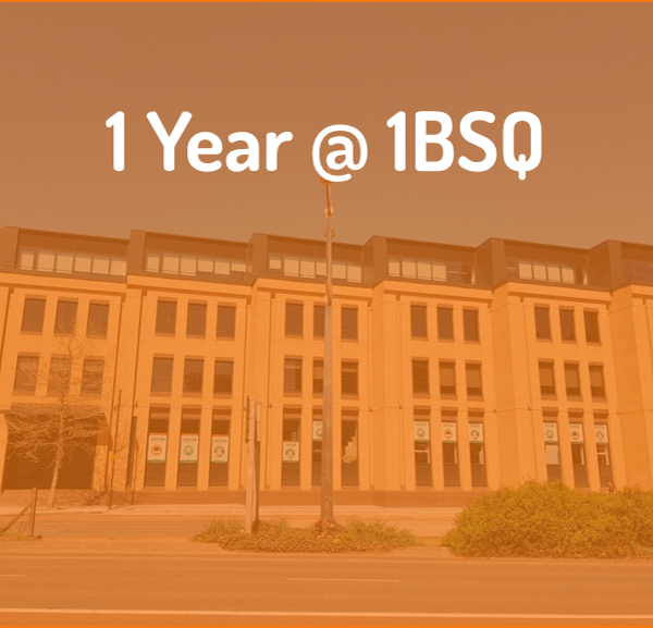1 Year in 1BSQ