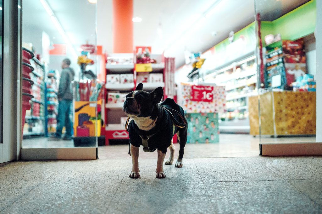 This image has an empty alt attribute; its file name is Dog-eat-dog-1-1024x683.jpg