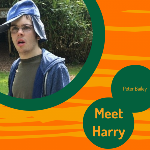 meet harry