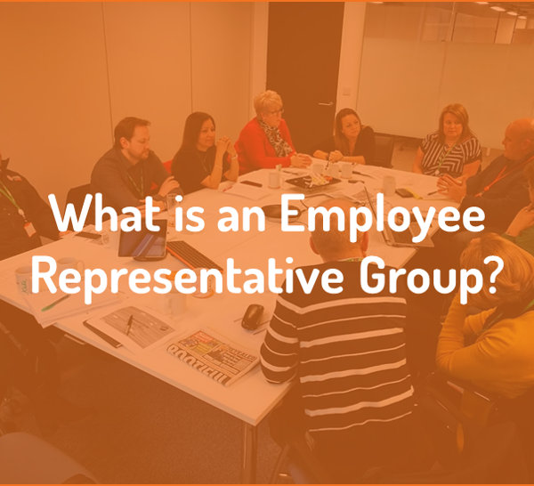 What is an Employee Representative Group?