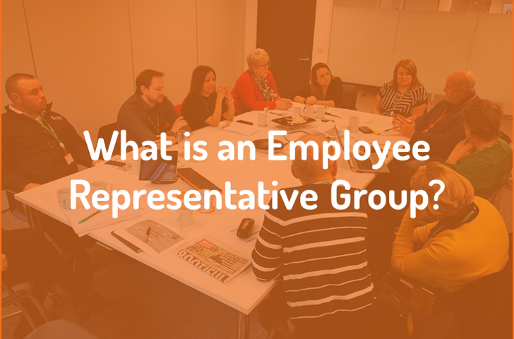 What is an Employee Representative Group?