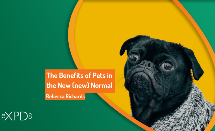 The Benefits of Pets in the New (new) Normal